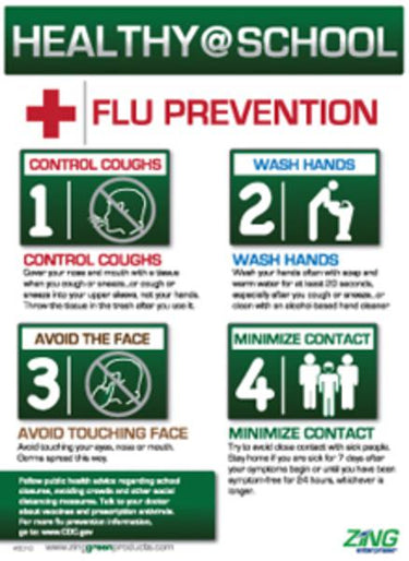 ZING 5010 Safety Eco Health Poster, Healthy at School, 22Hx16W